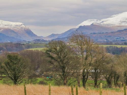 Plas Cefn Mawr - image 5