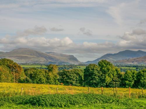 Plas Cefn Mawr - image 10