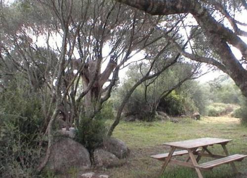 Les bergeries d'Ogliastrello