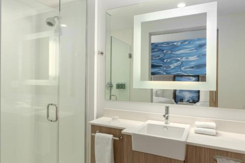 SpringHill Suites by Marriott Bradenton Downtown/Riverfront - image 10