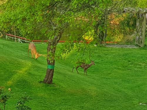 Domaine de Millox - image 3