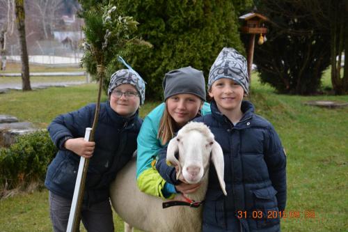 Apart-Pension Wesenauerhof - image 13