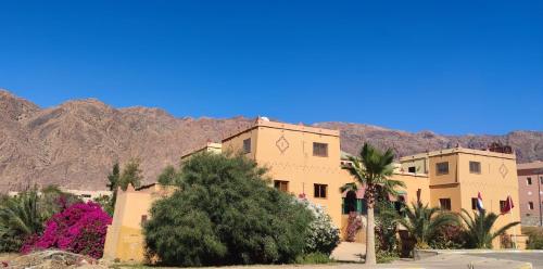 Auberge Kasbah Chez Amaliya – Tafraout, AZ