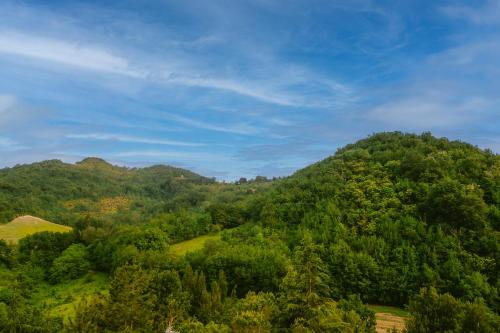 Tenuta delle Rose - Country House