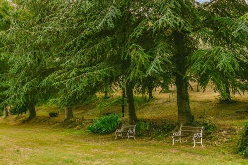 Tenuta delle Rose - Country House