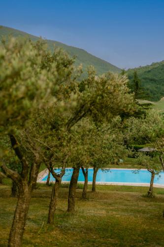 Tenuta delle Rose - Country House - Accommodation - Piane