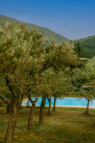 Tenuta delle Rose - Country House