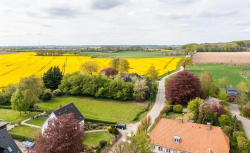 Reetdachkate Ekenis in Ekenis