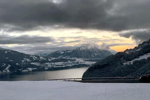 Königin der Alpen - Apartment - Beatenberg