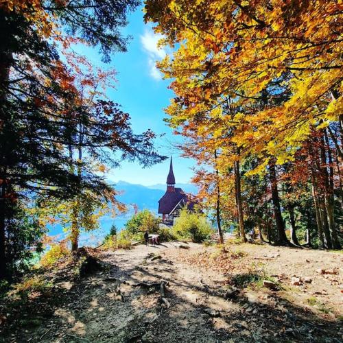 Königin der Alpen