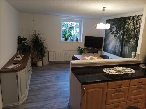virtuve, FeWo ,,An der kleinen Wilde'' in Sudharz