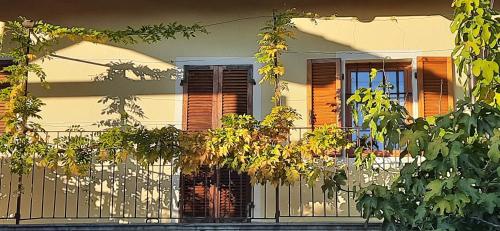 Apartment with Garden View