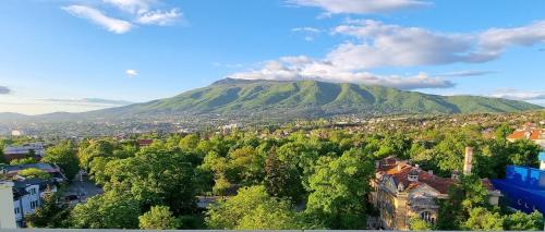 Deluxe Superior Suite with Balcony and mountain view