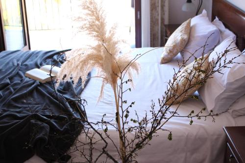 Casa Alice - image 8