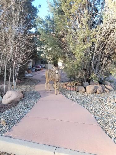 Your comfy home in Colorado Springs - Tap to explore photos