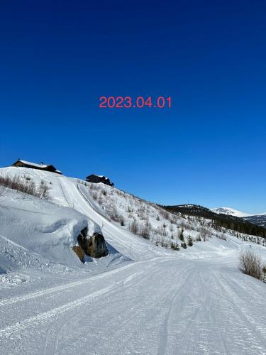 Perfect moutain getaway! Beautiful Apartment at Skagahøgdi with Panoramic View in Gol