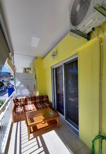 Orange Tree Apartment