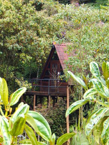 Chalets en Santa Elena en medio del Bosque, Medellín (zdjęcie 11)