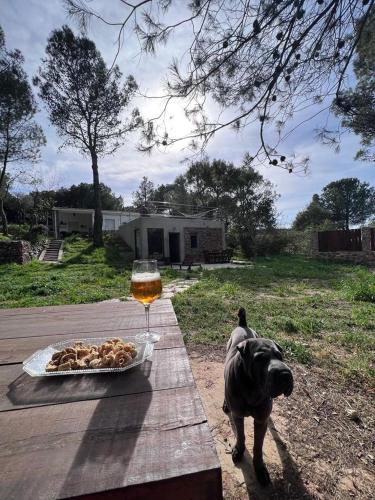 Stone Garden, Casa en plena naturaleza