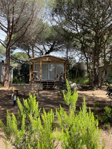 Palombaggia location i pini Porto Vecchio 5