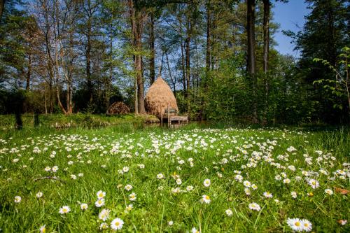 Hotel Zum Stern Spreewald