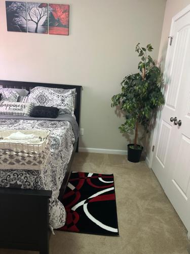 Zees Private Room in Norfolk, USA