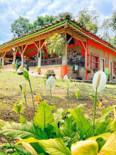 Viesnīcas āriene, Finca Hotel Cabana Fercho in Quimbaya