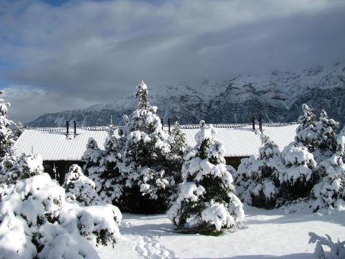 Orizontes Tzoumerkon Hotel Resort