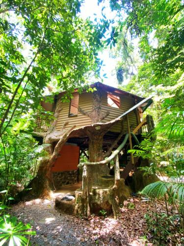 Rainforest Hideaway