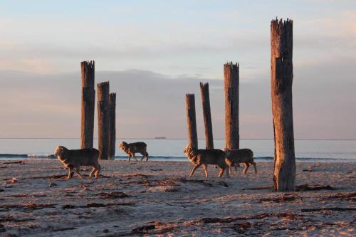 *New* Pip's Place at Lisdillon Vineyard