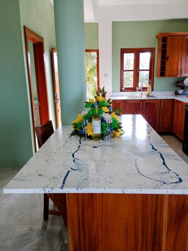 Desired View vacation rentals in フォン ドゥ