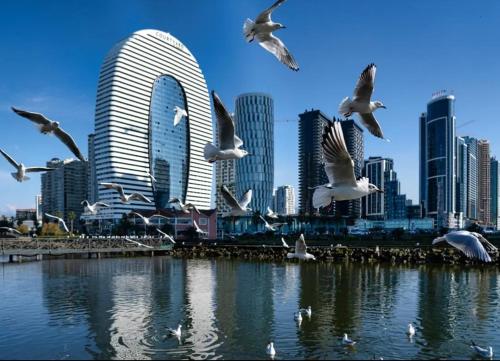 Alliance Palace Sea view Apartment