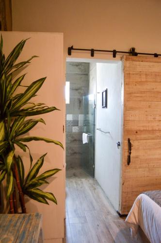 444491465 Hotel de Piedra