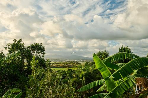 Alrededores, Suite cosy avec jacuzzi et jardin - BED AND COFFEE CITY in Ducos