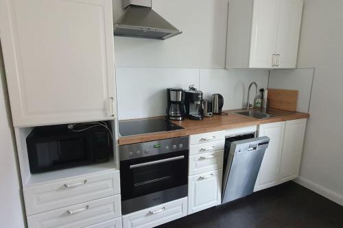 Maisonettewohnung in Elbnähe, Drážďany (fotografie 5)