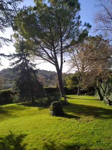 حديقة, Casa Laguna San Pedro in Ruidera