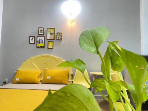 CĂN HỘ DỊCH VỤ NGUYỄN VĂN THƯƠNG- 5P ĐẾN QUẬN 1