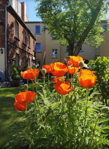 City Appartement mit Garten, zentral und trotzdem ruhig - Gräbendorfer See