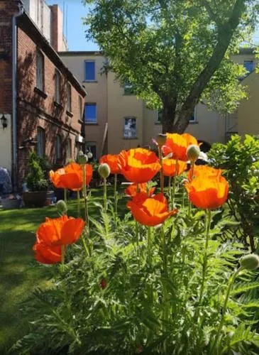 Ruhiges Apartment im grünen Innenhof der Altstadt in Cottbus, Deutschland