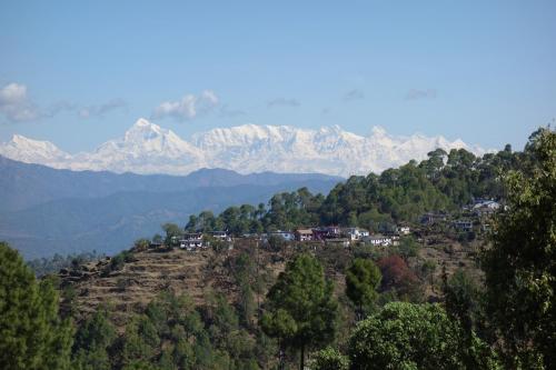 Himalaya View