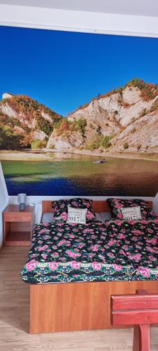 Apartament Nad Dunajcem in Sromowce Nizne