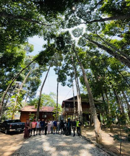 Forest Side Ecolodge