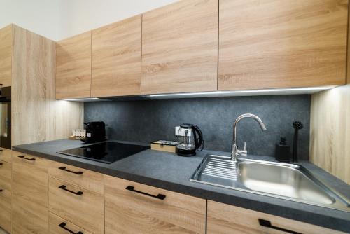 New apartments near Dancing house, Prag (Foto 8)