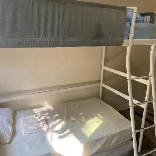 Foto - Eco-Shared Hype