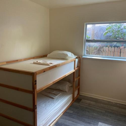 Foto - Eco-Shared Hype