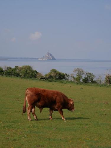 Gîte la Mer, à la campagne en Normandie, proche du Mont St Michel