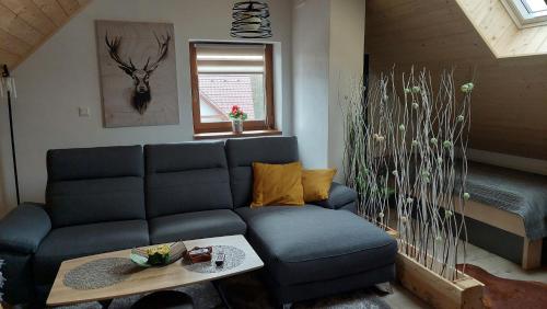 APARTMáN POD SMRČINOU (APARTMaN POD SMRCINOU) in Václavov u Bruntálu