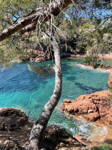 Hotel Le Flore in Frejus