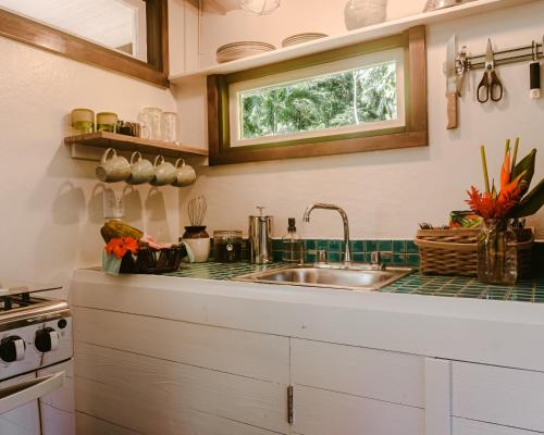 Cucina, Roam Yoga & Wellness Lodge in Bastimentos