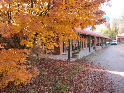 The Harrietville Snowline Hotel